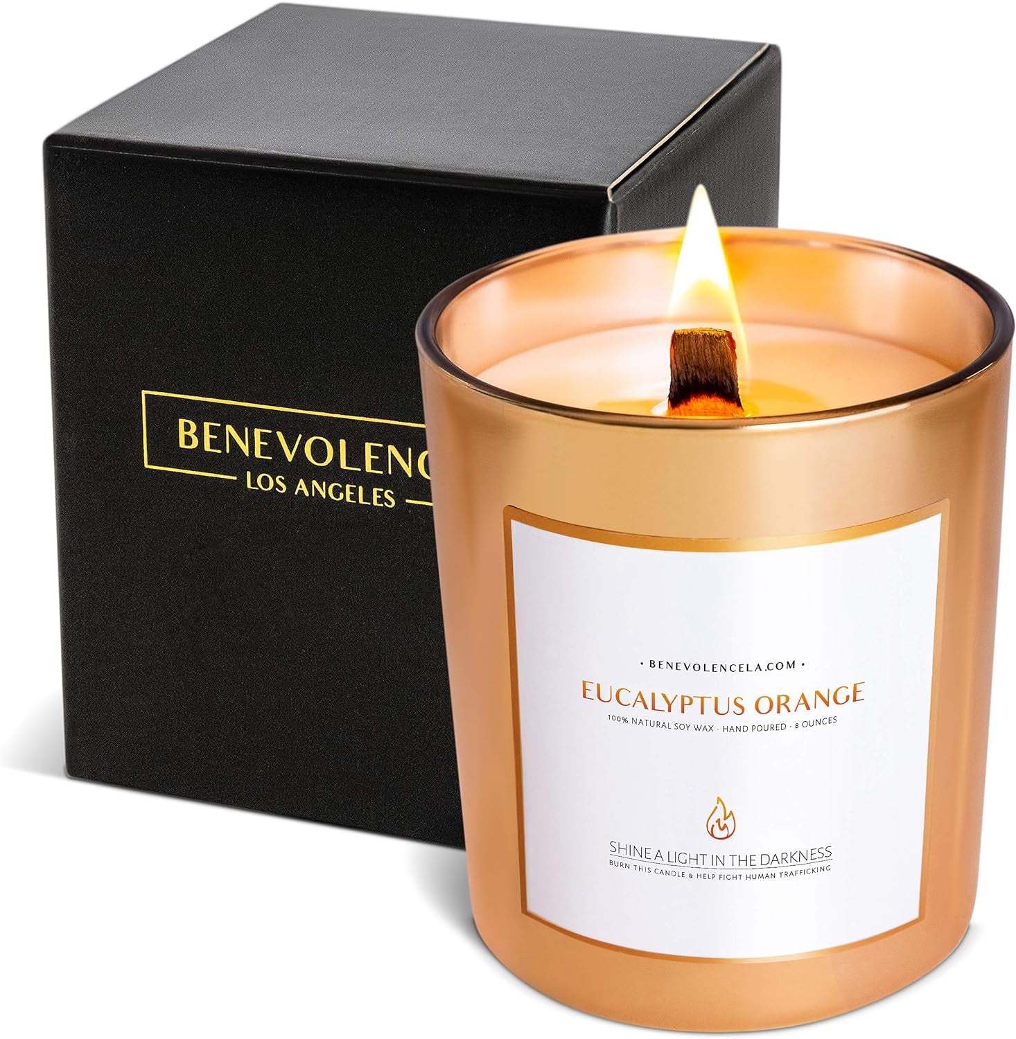 Benevolence Candles Eucalyptus Orange Wood Wick Candles | 8 Oz Christmas Scented Candles for Home Scented | Eucalyptus Candles | Natural Soy Candles Gifts for Women | Holiday Candles | Fall Candles