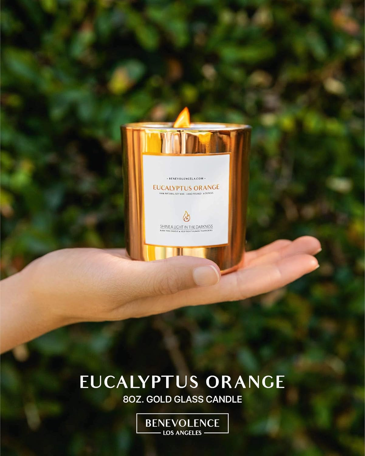 Benevolence Candles Eucalyptus Orange Wood Wick Candles | 8 Oz Christmas Scented Candles for Home Scented | Eucalyptus Candles | Natural Soy Candles Gifts for Women | Holiday Candles | Fall Candles